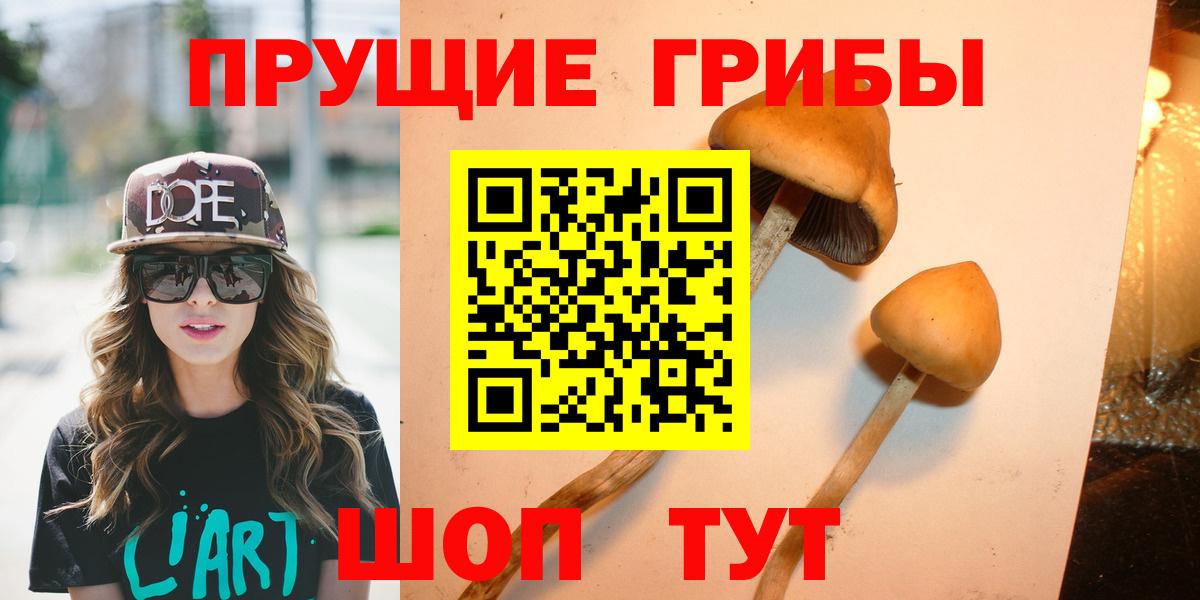 Псилоцибиновые грибы Cubensis  Вход с VPN  Вятские Поляны  Псилоцибиновые грибы Psilocybine cubensis 